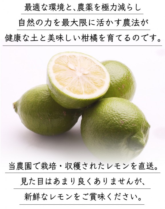 国産レモン 1kg(約5〜15個) | 日本全国各地のお取り寄せモール風土jp
