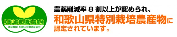 国産レモン 1kg(約5〜15個) | 日本全国各地のお取り寄せモール風土jp