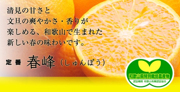 有機肥料だけで育てたこだわりの春峰 4kg 画像 | 日本全国各地のお取り寄せモール風土jp
