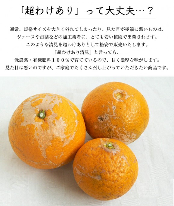 【和歌山産】超わけあり清見オレンジ 10kg | 日本全国各地のお取り寄せモール風土jp