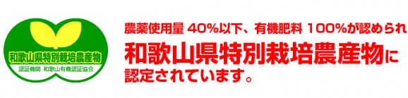 【和歌山産】超わけあり清見オレンジ 10kg | 日本全国各地のお取り寄せモール風土jp
