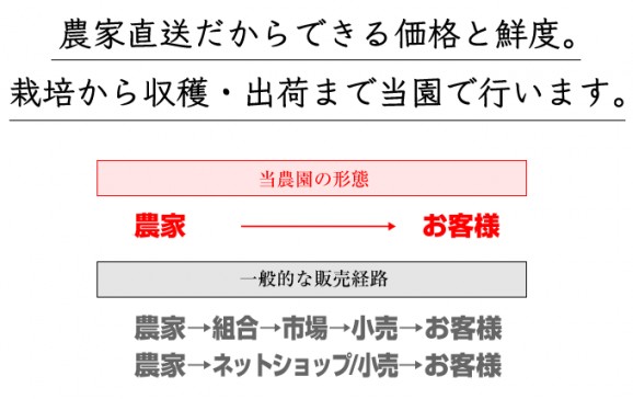 【和歌山産】超わけあり清見オレンジ 10kg | 日本全国各地のお取り寄せモール風土jp