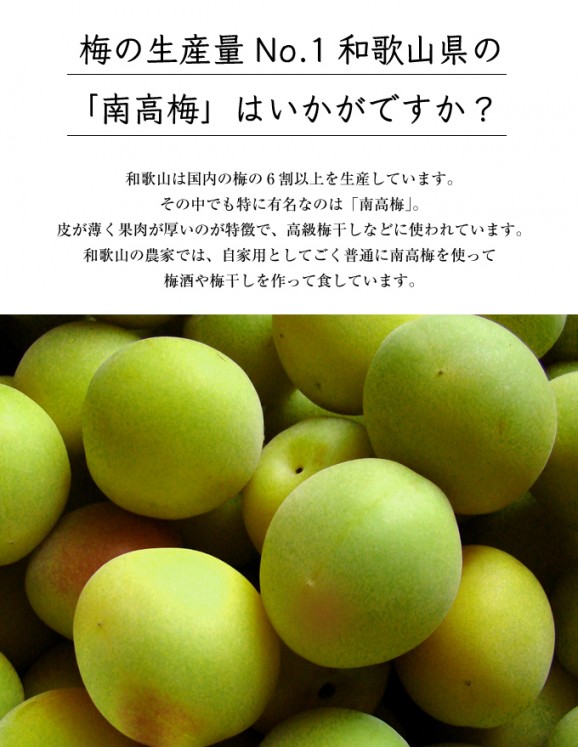 定番紀州南高梅(青梅) 1kg (6月10〜20日頃発送) | 日本全国各地のお取り寄せモール風土jp