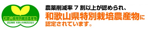 定番紀州南高梅(青梅) 1kg (6月10〜20日頃発送) | 日本全国各地のお取り寄せモール風土jp