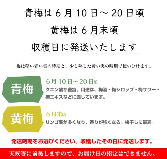 定番紀州南高梅(青梅) 1kg (6月10〜20日頃発送) | 日本全国各地のお取り寄せモール風土jp