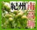 定番紀州南高梅(青梅・黄梅)