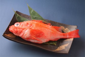 【北海道産】キンキの味噌仕立て鍋セット(4人前前後) | 日本全国各地のお取り寄せモール風土jp