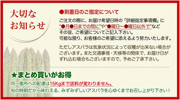 北海道産 3Lグリーンアスパラ1kg | 日本全国各地のお取り寄せモール風土jp