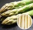 北海道産 アスパラ L〜極太3Lサイズ