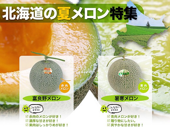 北海道青肉 暑寒メロン 秀品 3玉8キロ JAきたそらち 34067.l.1.jpg