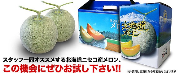 北海道ニセコ産メロン(大玉1.6kg前後)2玉(赤肉・青肉各1玉ずつ) | 日本全国各地のお取り寄せモール風土jp