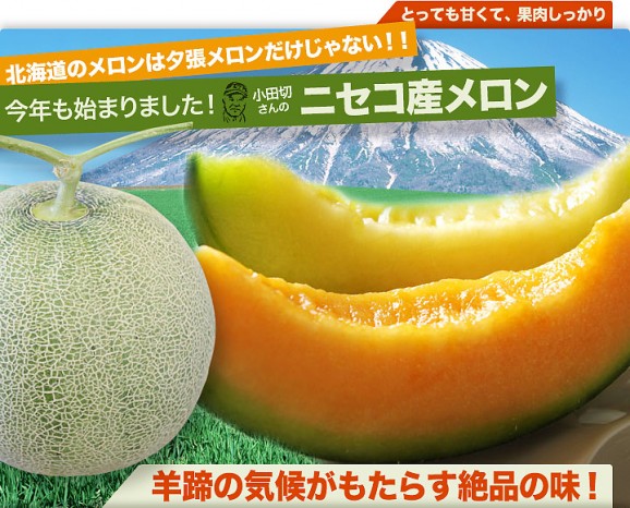 北海道ニセコ産メロン(大玉1.6kg前後)2玉(赤肉・青肉各1玉ずつ) | 日本全国各地のお取り寄せモール風土jp