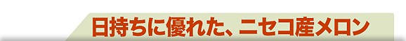 北海道ニセコ産メロン(大玉1.6kg前後)2玉(赤肉・青肉各1玉ずつ) | 日本全国各地のお取り寄せモール風土jp