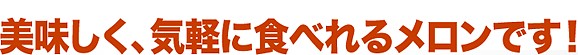 北海道ニセコ産メロン(大玉1.6kg前後)2玉(赤肉・青肉各1玉ずつ) | 日本全国各地のお取り寄せモール風土jp