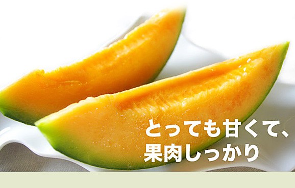 北海道ニセコ産メロン(大玉1.6kg前後)2玉(赤肉・青肉各1玉ずつ) | 日本全国各地のお取り寄せモール風土jp