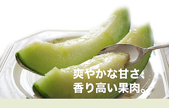 北海道ニセコ産メロン(大玉1.6kg前後)2玉(赤肉・青肉各1玉ずつ) | 日本全国各地のお取り寄せモール風土jp