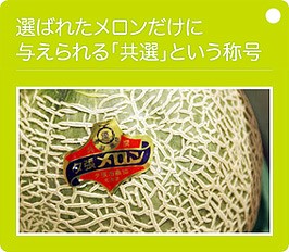 ͼĥ����� �������1.6kg�����1�� | ����������ϤΤ����󤻥⡼������jp