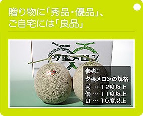 ͼĥ����� �������1.6kg�����1�� | ����������ϤΤ����󤻥⡼������jp