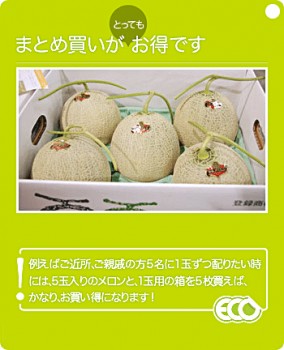 ͼĥ����� �������1.6kg�����1�� | ����������ϤΤ����󤻥⡼������jp