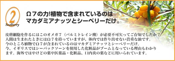 ���٤����Ʊա������٥꡼�֥�åɥڡ����� | ����������ϤΤ����󤻥⡼������jp