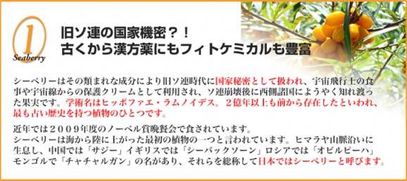 ���٤����Ʊա������٥꡼2�ĥ��åȡʥ֥�åɥڡ����ȡ������٥꡼�ե롼�ĥ������� | ����������ϤΤ����󤻥⡼������jp