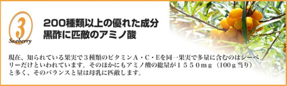 ���٤����Ʊա������٥꡼2�ĥ��åȡʥ֥�åɥڡ����ȡ������٥꡼�ե롼�ĥ������� | ����������ϤΤ����󤻥⡼������jp