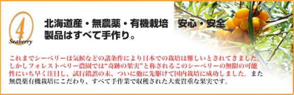 ���٤����Ʊա������٥꡼2�ĥ��åȡʥ֥�åɥڡ����ȡ������٥꡼�ե롼�ĥ������� | ����������ϤΤ����󤻥⡼������jp