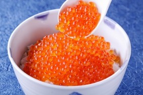 �����ɤ��󤳥��å� | ����������ϤΤ����󤻥⡼������jp