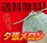 【送料無料】夕張メロン(個撰品):訳あり品(大玉1.6kg前後)