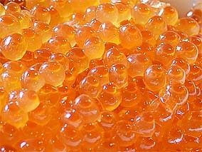 北海道産!新鮮生筋子1kg(2〜5腹) | 日本全国各地のお取り寄せモール風土jp