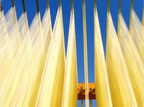 �ڤ��渵����£����Ŭ�ʡ��ۤۤ�ޤ��λ������͡�K��2kg��Ȣ | ����������ϤΤ����󤻥⡼������jp