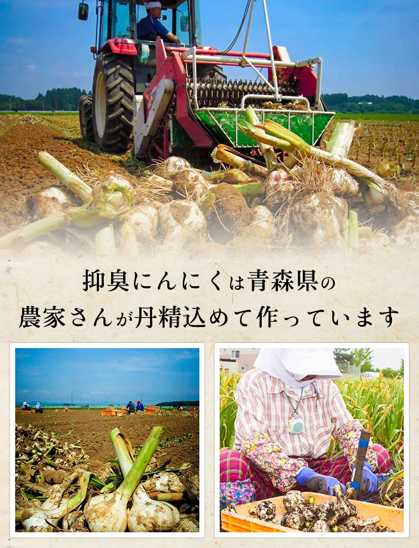 【青森県産★にんにく!】 抑臭 にんにく 500g 【青森県産】【送料無料】【白にんにく】【臭くないにんにく】【おうち時間】【にんにく料理】【健康】 | 日本全国各地のお取り寄せモール風土jp