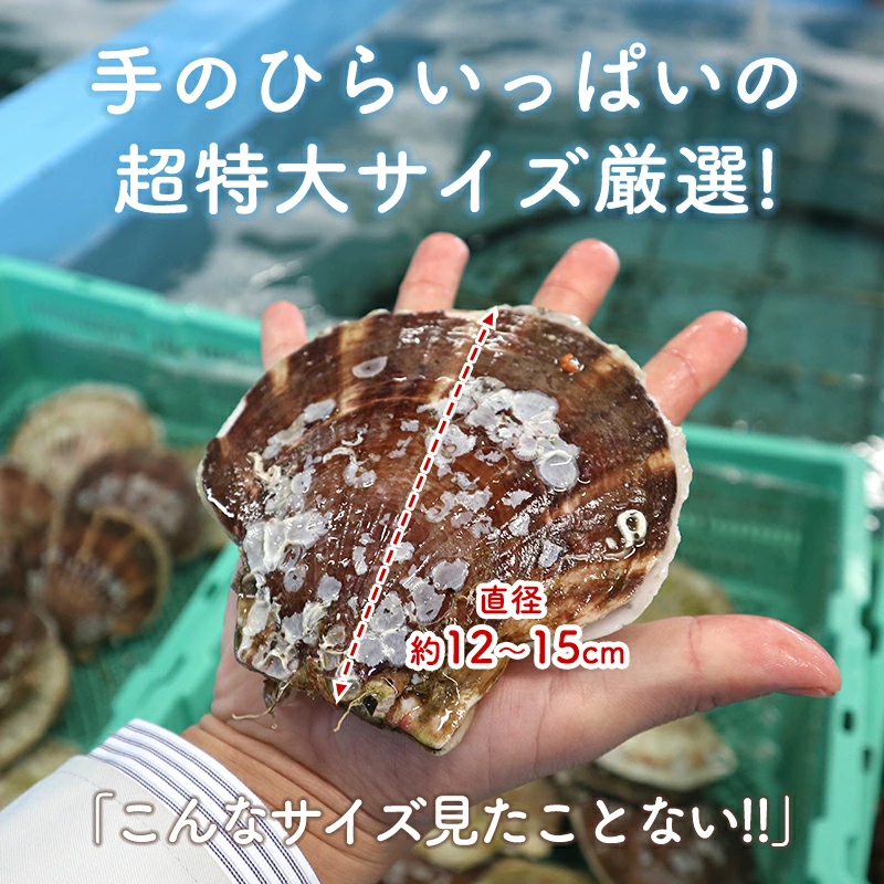 【青森県産★鮮度抜群!】ほたて 2kg ホタテ ホタテ貝柱 帆立 大容量 ほたて貝柱 活ホタテ【青森県産】【送料無料】【チルド便】【新鮮】【鮮度命】【バーベキュー】【BBQ】 | 日本全国各地のお取り寄せモール風土jp