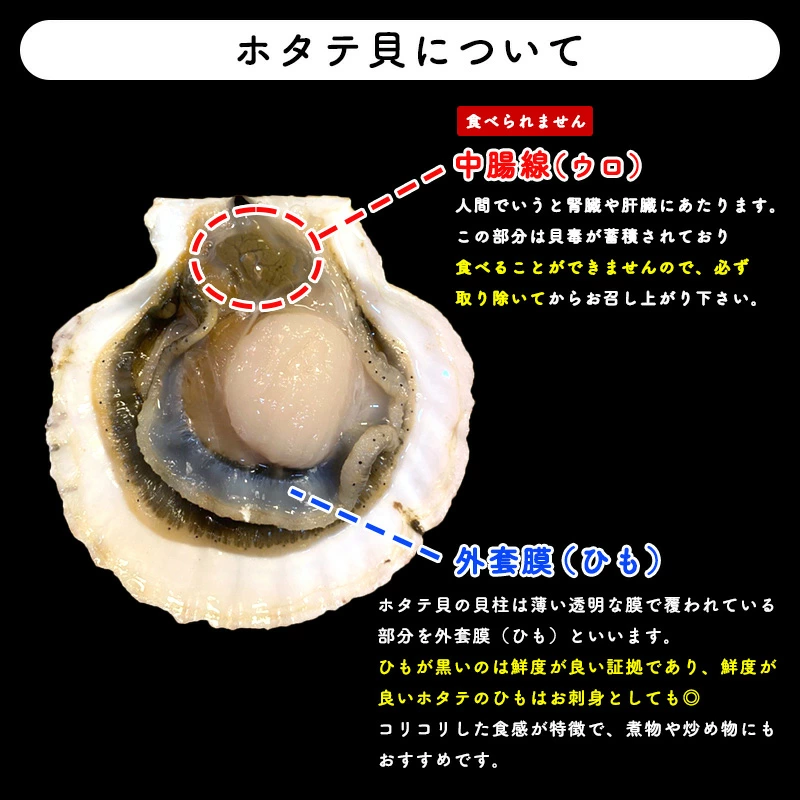 【青森県産★鮮度抜群!】ほたて 6kg ホタテ ホタテ貝柱 帆立 大容量 ほたて貝柱 活ホタテ【青森県産】【送料無料】【チルド便】【6kg】【新鮮】【鮮度命】【バーベキュー】【BBQ】 | 日本全国各地のお取り寄せモール風土jp