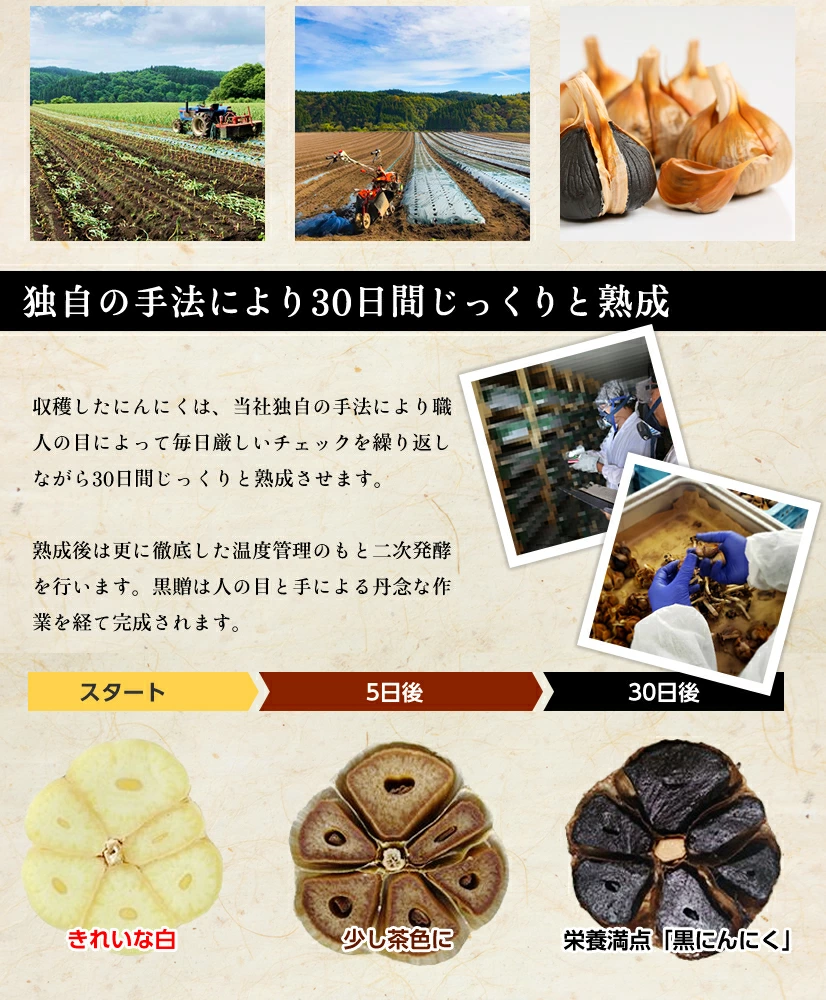 【青森県産★免疫力強化!】青森県産熟成黒にんにく 黒贈 300g【免疫力!】【送料無料】【ダイエット食品】【健康食品】【無添加】【発酵食品】【生活習慣】 | 日本全国各地のお取り寄せモール風土jp