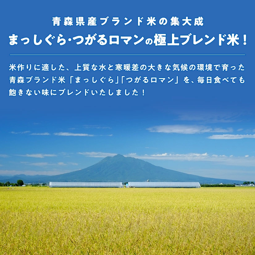 【青森県産★出荷日に精米します!】生活応援米(まっしぐら・つがるロマン ブレンド) 20kg (5kg×4袋) 複数原料米 ブレンド米 青森県産米100%使用【生活】【主食】 | 日本全国各地のお取り寄せモール風土jp