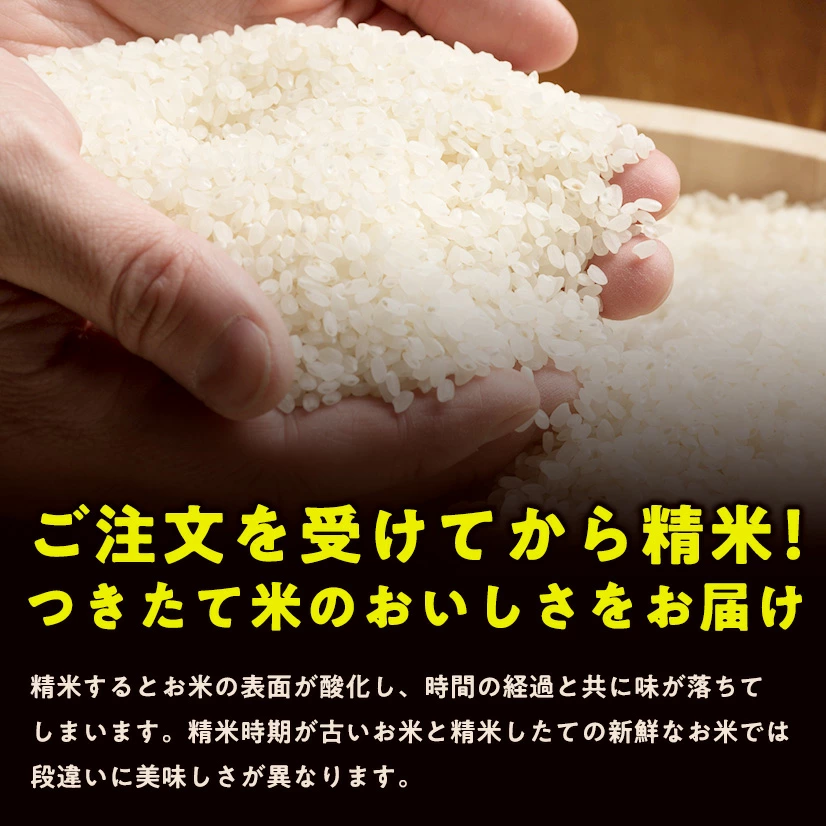 【青森県産★出荷日に精米します!】生活応援米(まっしぐら・つがるロマン ブレンド) 20kg (5kg×4袋) 複数原料米 ブレンド米 青森県産米100%使用【生活】【主食】 | 日本全国各地のお取り寄せモール風土jp