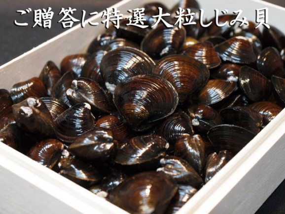 青森十三湖 特選しじみ貝 大粒サイズ 1kg木箱入り | 日本全国各地のお取り寄せモール風土jp