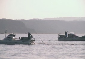 青森十三湖 特選しじみ貝 大粒サイズ 1kg木箱入り | 日本全国各地のお取り寄せモール風土jp