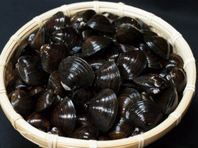 青森十三湖 特選しじみ貝 大粒サイズ 1kg木箱入り | 日本全国各地のお取り寄せモール風土jp
