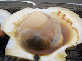 【送料無料】漁師直送 青森陸奥湾産 活ほたて【3キロ(2年貝)】 | 日本全国各地のお取り寄せモール風土jp