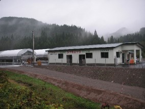 �Ŀ����û��Ϸܡ��Ŀ��������å����ھ������åȡ� | ����������ϤΤ����󤻥⡼������jp