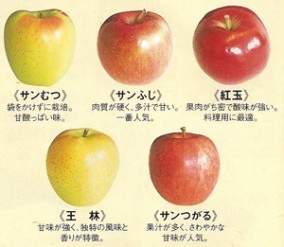 数量限定!葉とらず完熟りんごジュース 津軽の祭り 立佞武多(たちねぷた)葉とらず100 葉とらずりんごジュース【195g×30本 カートカン】 | 日本全国各地の名産品やお土産のお取り寄せモール 風土jp