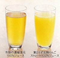 飲みきりサイズ♪葉とらず完熟りんごジュース 葉とらずりんごジュース 125ml×30本 プチりんご21 | 日本全国各地のお取り寄せモール風土jp