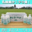 ���꡼�ߡ���̣�襤������衼����ȡ������ͤϹ���ǹ��٥롪����ۡ�500ml��5�ܥ��åȡ�