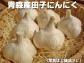 ��21ǯ���������Ŀ��ĻҤˤ�ˤ���ʡ�ϥۥ磻��ϻ�Ҽ�