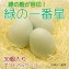 青森田子町自慢のにんにくを使ったたまご 緑の一番星(あすなろ卵)