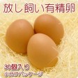 �Ŀ��Ļ�Į�����Τˤ�ˤ���Ȥä����ޤ�����������ͭ����