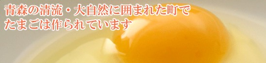 青森田子町自慢のにんにくを使ったたまご「にんにくたまご」 30個入り【たまごかけごはんにどうぞ!】 | 日本全国各地のお取り寄せモール風土jp