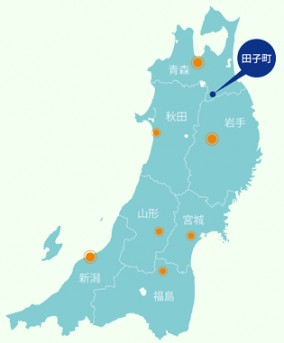青森田子町自慢のにんにくを使ったたまご「にんにくたまご」 30個入り【たまごかけごはんにどうぞ!】 | 日本全国各地のお取り寄せモール風土jp